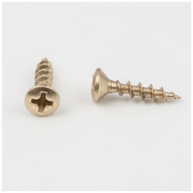 #5 x 5/8" Polished Brass Phillips Drive Coarse Thread Oval Head Screw Sold by the Keg. Order 30 for a Keg of 30,000 Screws