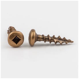 #6 x 5/8" Antique Brass Phillips Drive Coarse Thread Pan Head Screw Sold by the Keg. Order 20 for a Keg of 20,000 Screws
