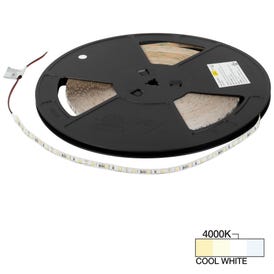 100 Ft, 120 Lumens/Ft. 12-volt Accent Output LED Tape Light, Single-White, Cool White 4000K